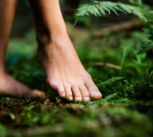 bare-feet-of-woman-standing-barefoot-outdoors-in-n-2024-10-18-09-27-32-utc.jpg bare-feet-of-woman-standing-barefoot-outdoors-in-n-2024-10-18-09-27-32-utc.jpg